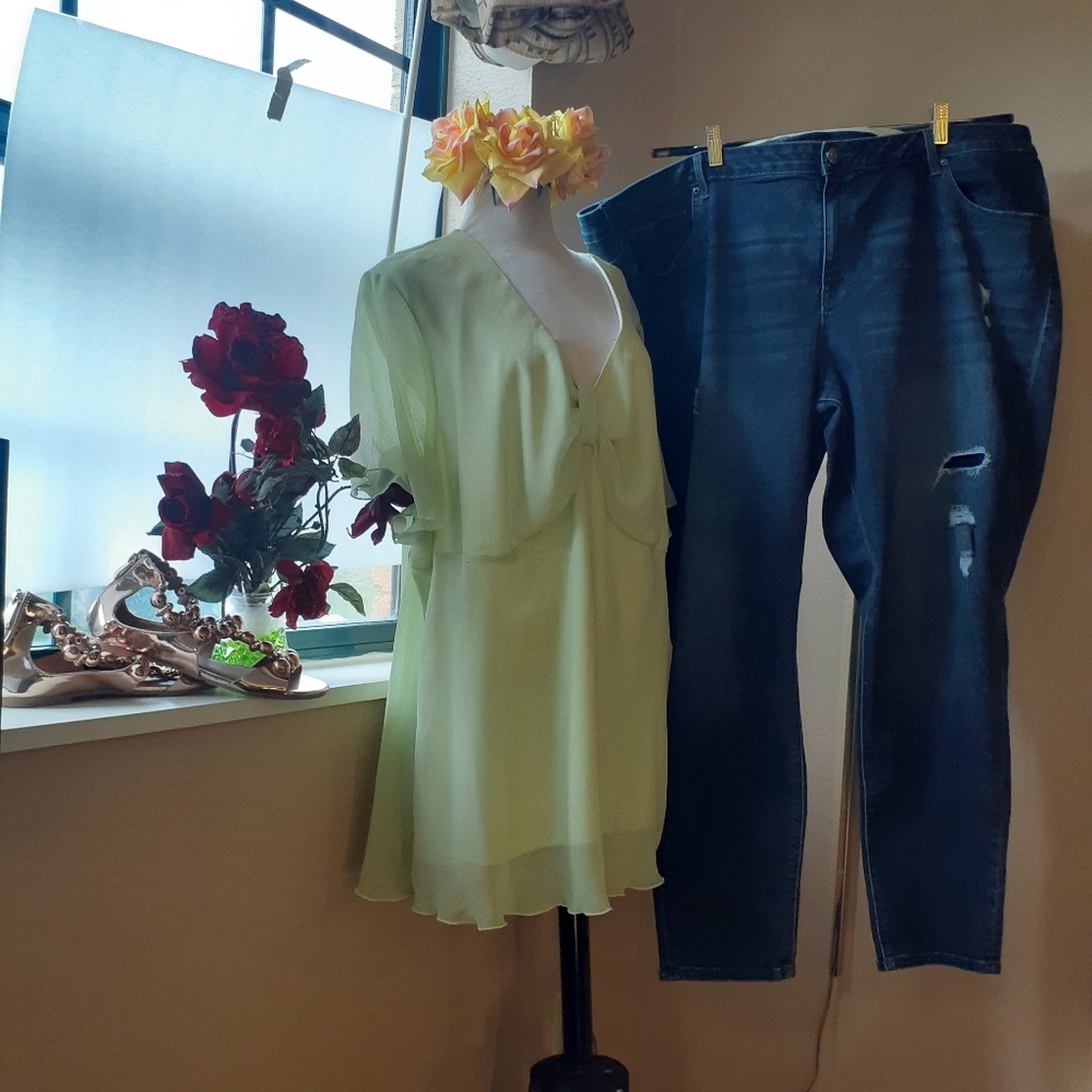 🔥Sale🔥 Avenue Sheer Top Sz 30 + Venezia Distressed Skinny Jeans Sz 28